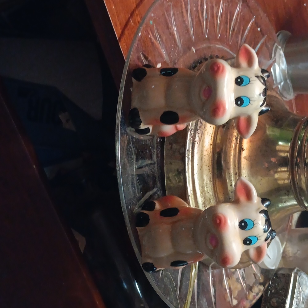 Cows! Saltshakers - Picture 2 of 4